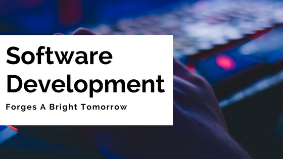 Software Development Forges A Bright Tomorrow